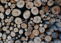 la madera como fuente de energia